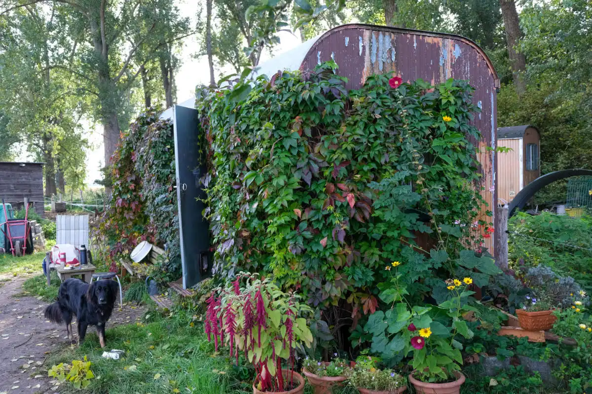 Diedersdorf im Spätsommer